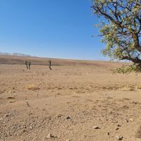 مجوز مرغداری تخم گذار(۱۵۳ هزارتایی) به همراه زمین|فروش دفتر صنعتی، کشاورزی، تجاری|تهران, اسکندری|دیوار