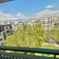 چمن-غربی-ملک-شمالی-بر-8ونیم