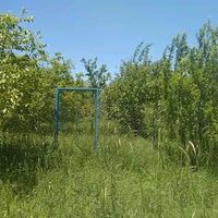 یک قطعه باغ 15 ساله روستای قلات رش|فروش خانه و ویلا|پیرانشهر, |دیوار