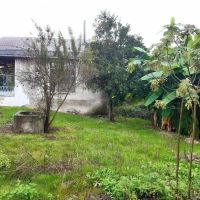 210مترزمین-جنگلی-رویایی-خوش-قواره-داخل-بافت-سنددار