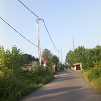 ۲۵۰متر زمین سند تک برگ/زیر۱۰۰متری دریا رضوانشهر|فروش زمین و ملک کلنگی|رضوانشهر, |دیوار