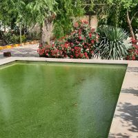 خونه-باغ-باغچه