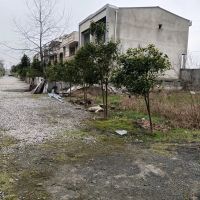 زمین-اماده-ساخت-برند-و-تاپ-لوکیشن-سنددار