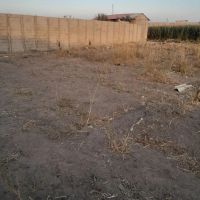 زمین-500متری-و-300متری-جای-باغی