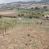 معاوضه-زمین-براصلی-جاده-با-آپارتمان