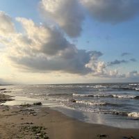 فروش-زمین-شهرکی-ساحلی-منطقه-آزاد-انزلی