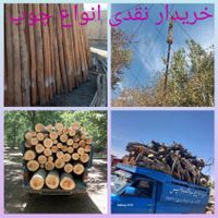 خریدار انواع چوب تر وخشک تیرکهنه سقفی ساختمان|عمده‌فروشی|همدان, |دیوار