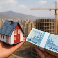 فیش-پارمیس-3-اندیشه-فاز-5