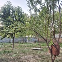 باغ-برقدارمناسب-ویلا-سازی-اسکو-بارانلو-خسروشهر