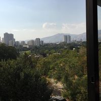 260 متر بهترین لوکیشن شیخ بهایی ویو ابدی|اجارهٔ آپارتمان|تهران, ونک|دیوار