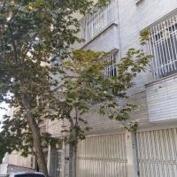 200-متر-کلنگی-فروشنده-واقعی