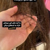 جشنواره موخوره تراپی و پاکسازی پوست|خدمات آرایشگری و زیبایی|قم, بنیاد|دیوار