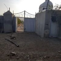 باغچه-فروشی-شهرآبسرد-روبروی-میدان-شرداری