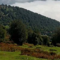 زمین-240-متر-دریس