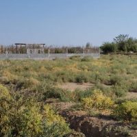 750متر-زمین-باغچه-پیشک-دو
