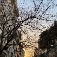 3-خواب-تک-واحدی-فول-بانک-رهنی