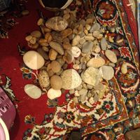 سنگ رودخانه ای|گل و گیاه طبیعی|تهران, باغ فیض|دیوار