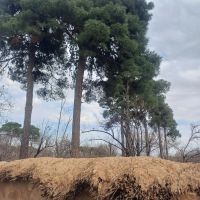 باغشهر1850متری-جاده-صدرا