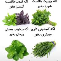 چایی میوه ی و دمنوش های گیاهی|خوردنی و آشامیدنی|مشهد, احمدآباد|دیوار
