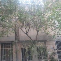 225متر-جنوبی-تهرانپارس