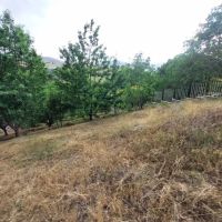 831متر-زمین-داخل-بافت-باسند-طالقان