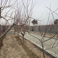 فروش-فوری-قواره-300-متری-انشعاب-دار