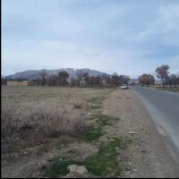 زمین-کشاورزی-وباغ-سندتک-برگ-دارد