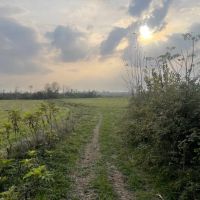 فروش-زمین-کشاورزی-33هزارمتری-درمنطقه-آزادانزلی