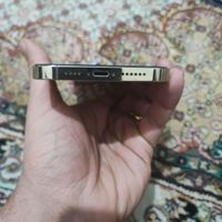 اپل iPhone 13 Pro Max ۱ ترابایت|موبایل|تهران, قیام‌دشت|دیوار