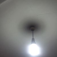 اجاره-اپارتمان-طبقه-همکف