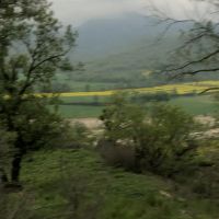 فروش-زمین-باغی-جنگل-گلستان