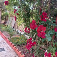 خانه-ویلایی-سند-ششدانگ-ملکی