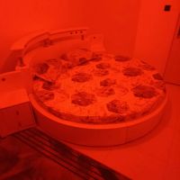 سوییت-لاکچری-vip-قاسم-اباد-حجاب