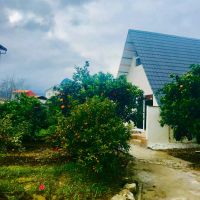 ویلا-جنگلی-دو-خوابه-حامد