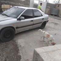 سیتروئن زانتیا 2000cc، مدل ۱۳۸۳|خودرو سواری و وانت|کرمانشاه, |دیوار