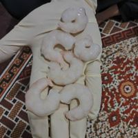 میگو  پاک شده|خوردنی و آشامیدنی|تهران, اسفندیاری|دیوار