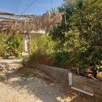 اجاره-خونه-ویلایی-بزرگ-روستای-خوشاب-برازجان