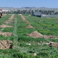 زمین-3000-متر-بوشکان