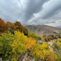 ۲۰۰ متر ویلایی کنسول خور جنوبی زیبادشت المپیک|فروش زمین و ملک کلنگی|تهران, زیبادشت|دیوار