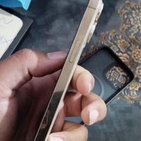 آیفون 13 پرو مکس 1TB گلد، سلامت کامل|موبایل|تهران, افسریه|دیوار