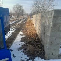 باغچه-3ساله