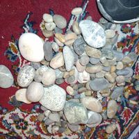 سنگ رودخانه ای|گل و گیاه طبیعی|تهران, باغ فیض|دیوار