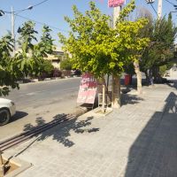 اجاره-مغازه