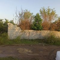 باغ-پرتغال-زمین-باغی-شمال-بابلسر-بهنمیر-هزار-متر