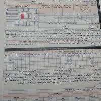 زمین-روشن-دشت-پروانه-دار