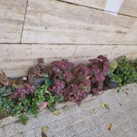 ویلایی-دربست-125-متری-دوطبقه