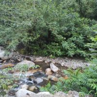 خونه-جنگلی-لب-رودخانه