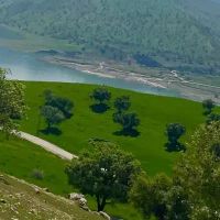 زمین-تجاری-مسکونی