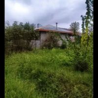 سرمایه-گذاری-مطمئن-زمین-مسکونی-شالی-2000-متری