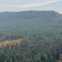 شاهکاری-لوکس-در-قلب-صیاد155متر-کلید-اول